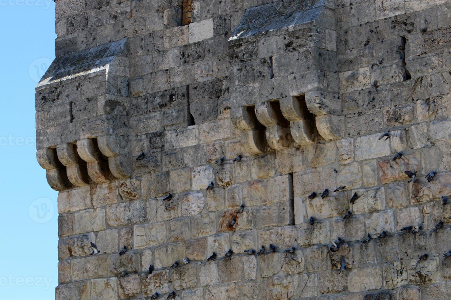 Wall of an ancient fortress in northern Israel. photo