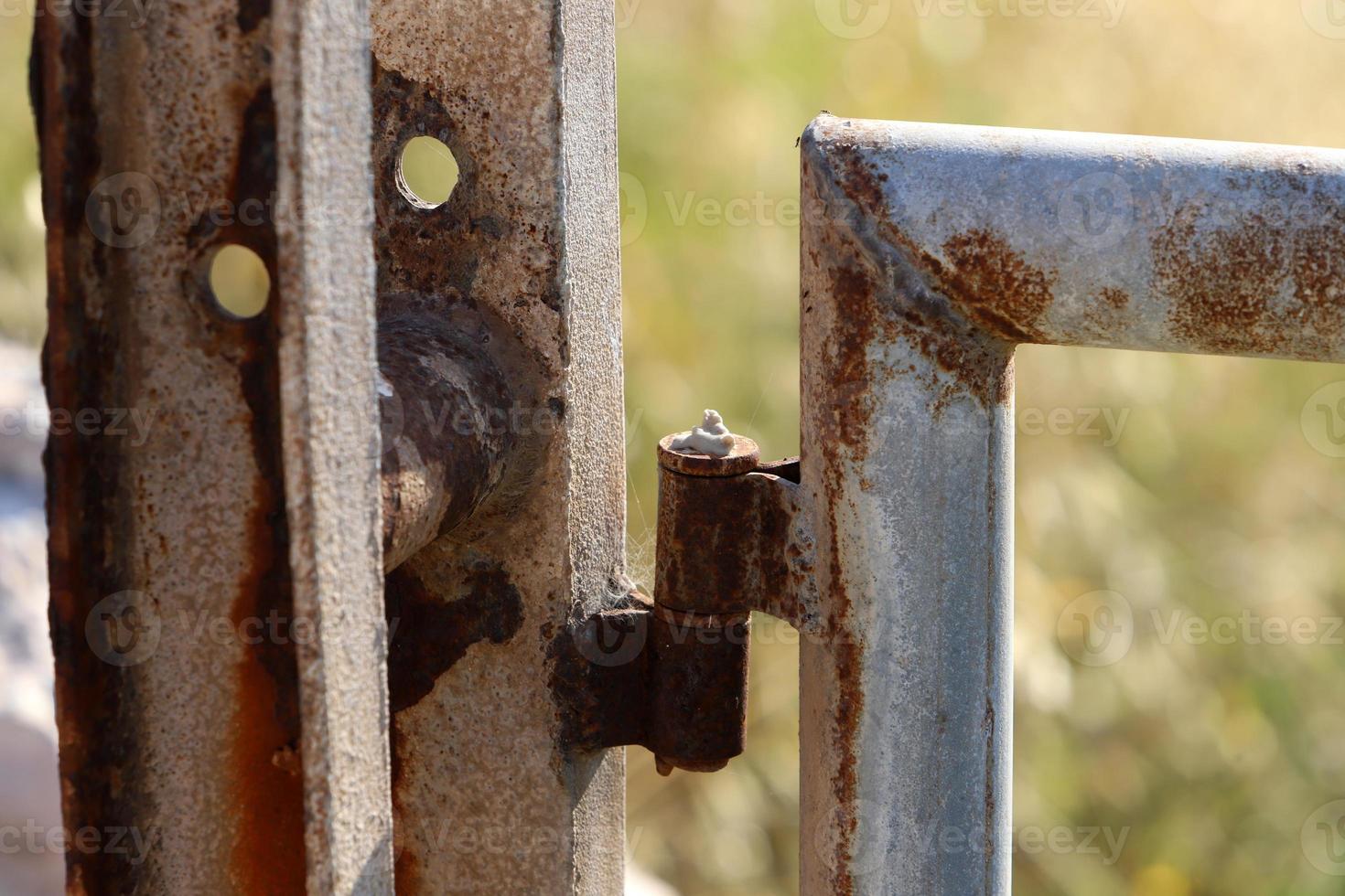 Texture of old and rusty iron. photo