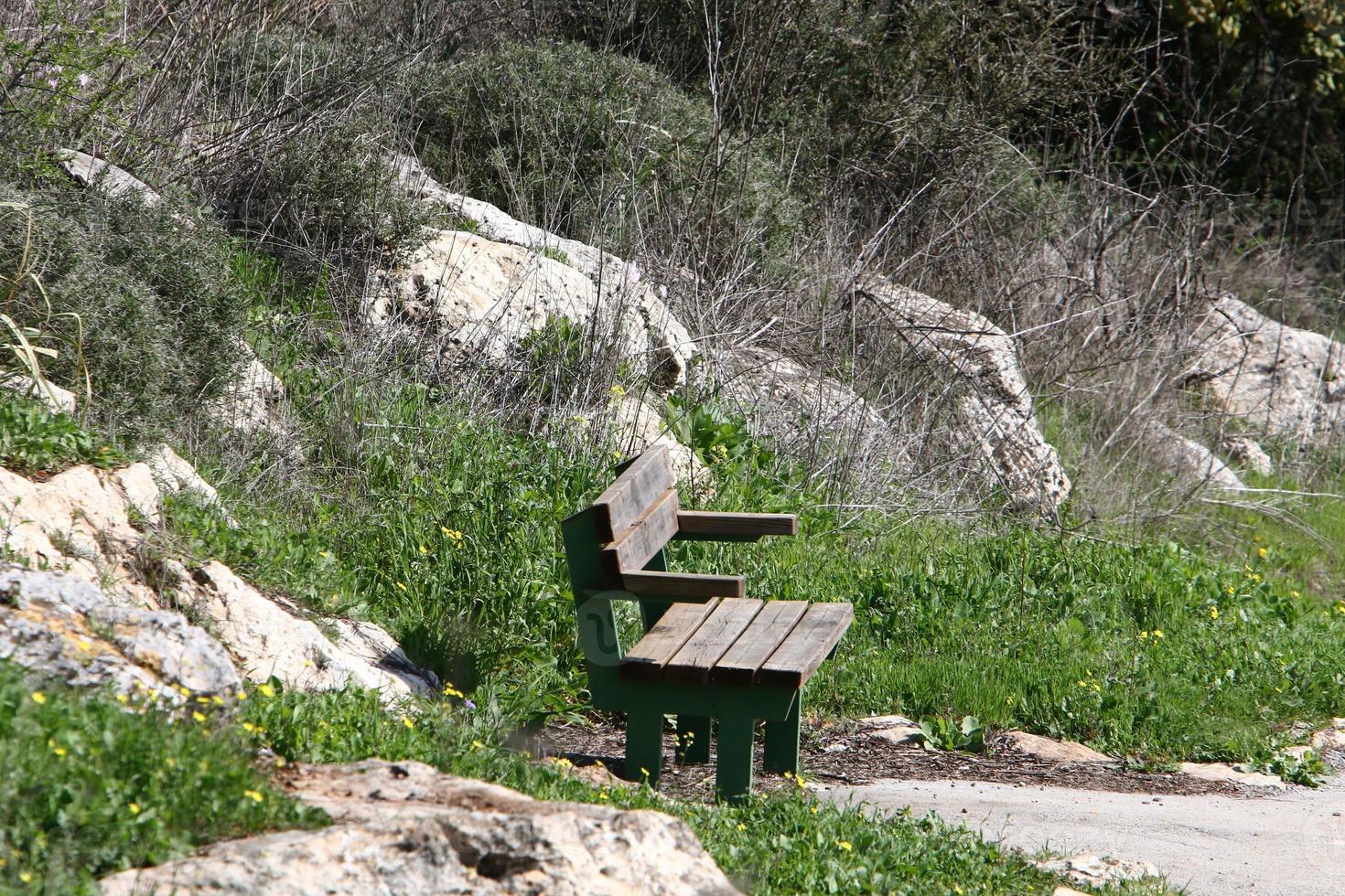 Bench for rest in the city park on the seashore. photo