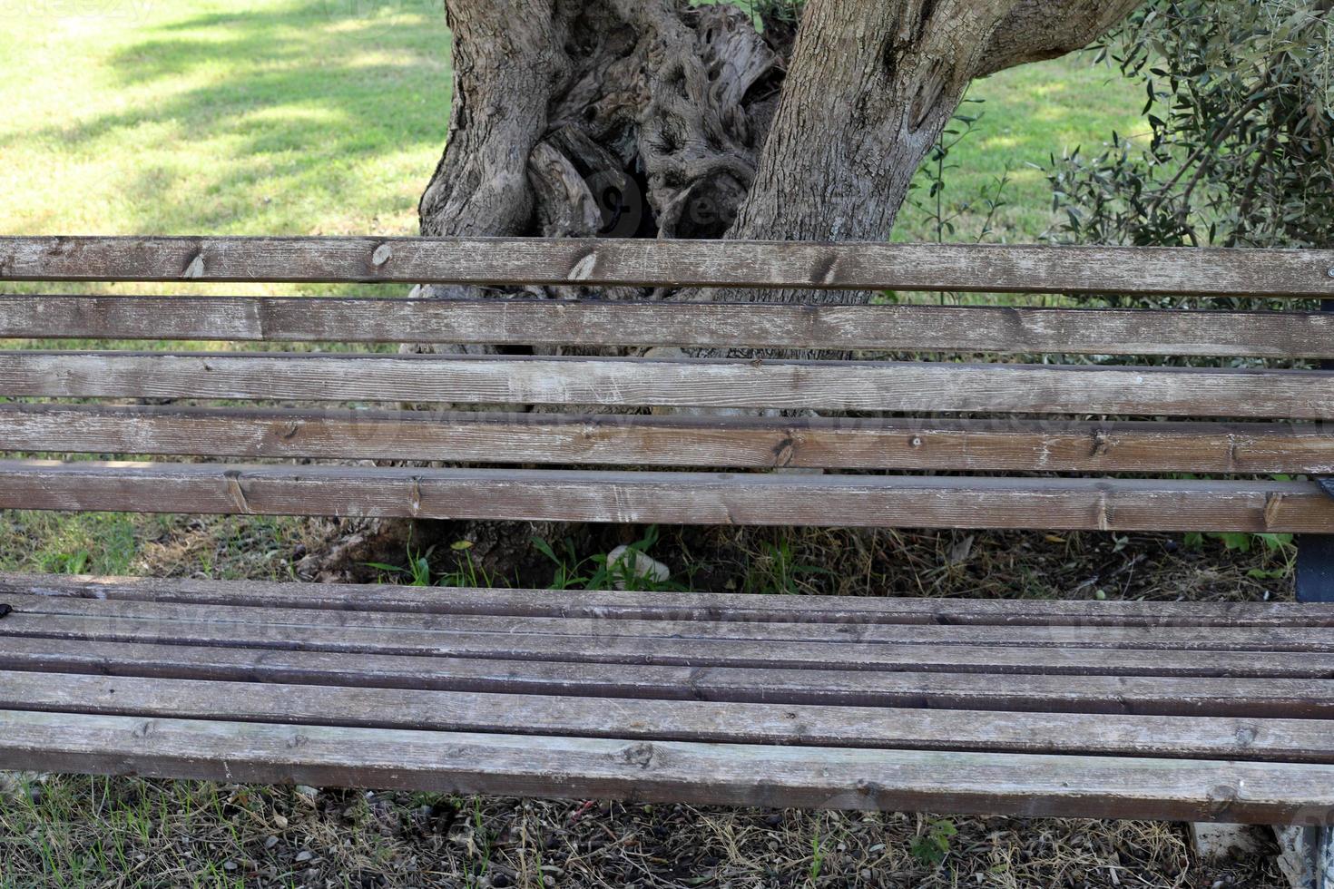 Bench for rest in the city park on the seashore. photo