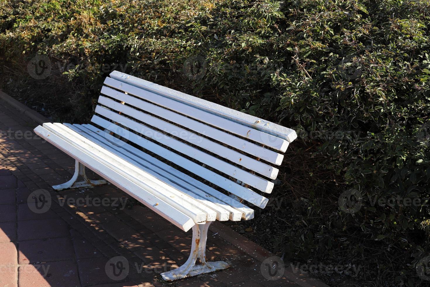 Bench for rest in the city park on the seashore. photo