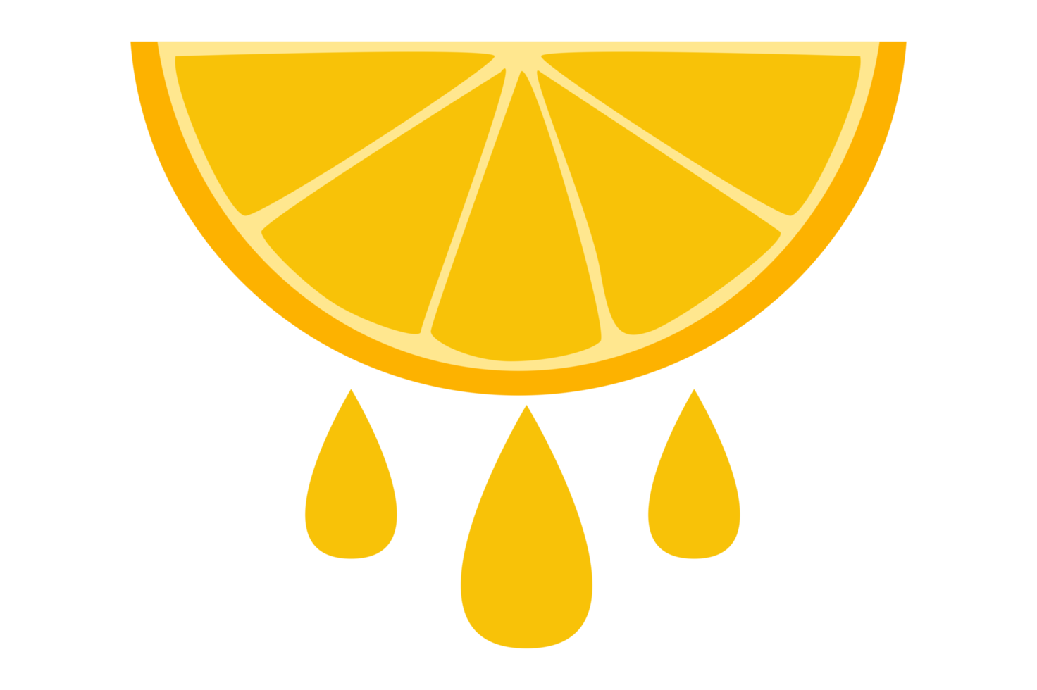 skiva orange frukt png