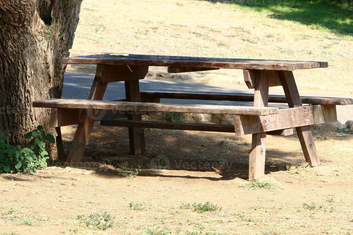 Bench for rest in the city park on the seashore. photo