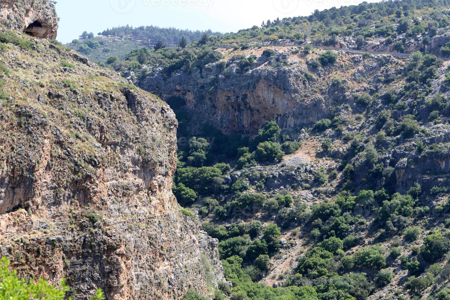 paisaje en las montañas del norte de israel. foto