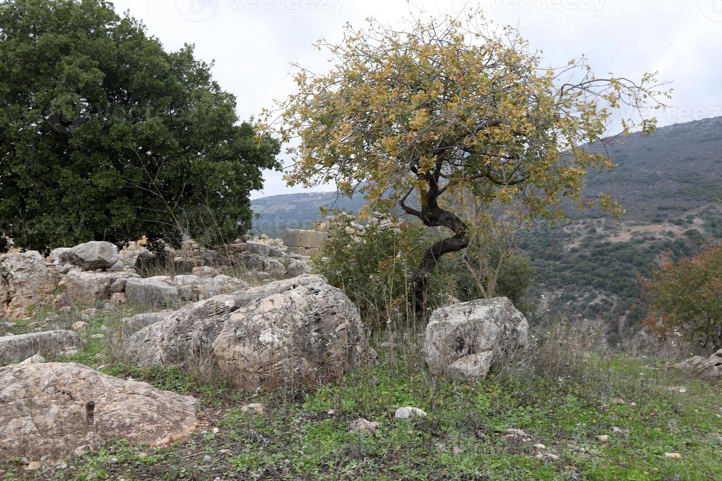 Landscape in the mountains in northern Israel. photo