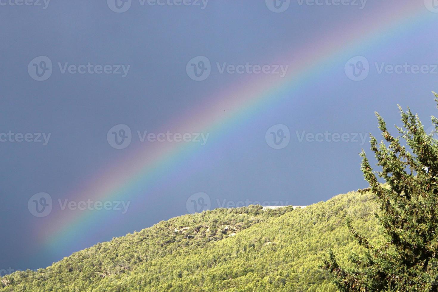 arco iris en el cielo sobre el bosque. foto