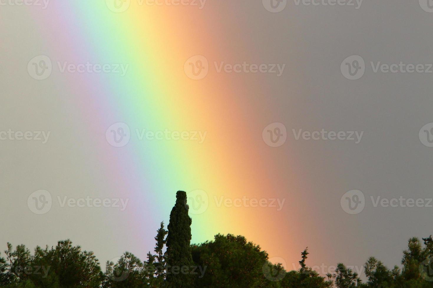 Rainbow in the sky over the forest. photo