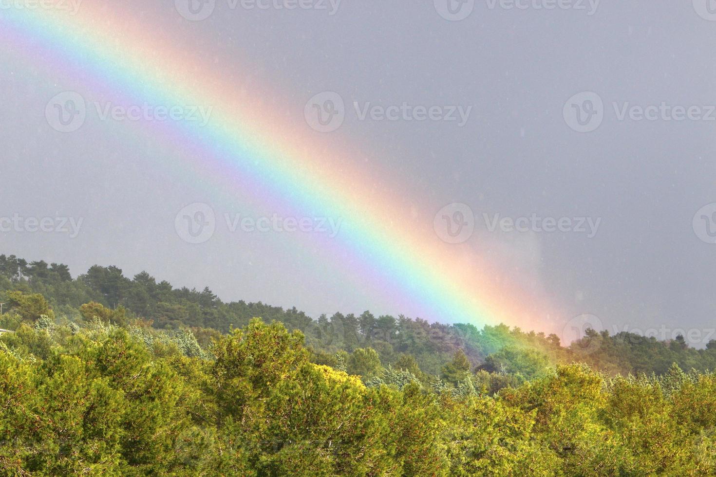 Rainbow in the sky over the forest. photo