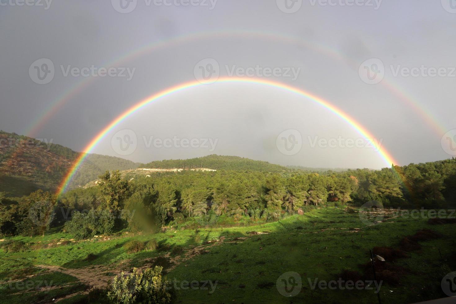 Rainbow in the sky over the forest. photo