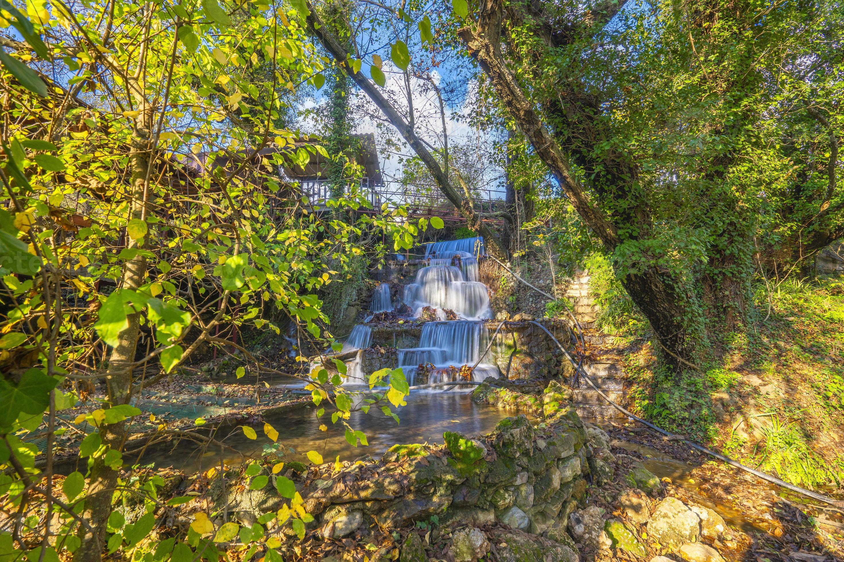 the last beauties of autumn before winter begins 16660200 Stock Photo