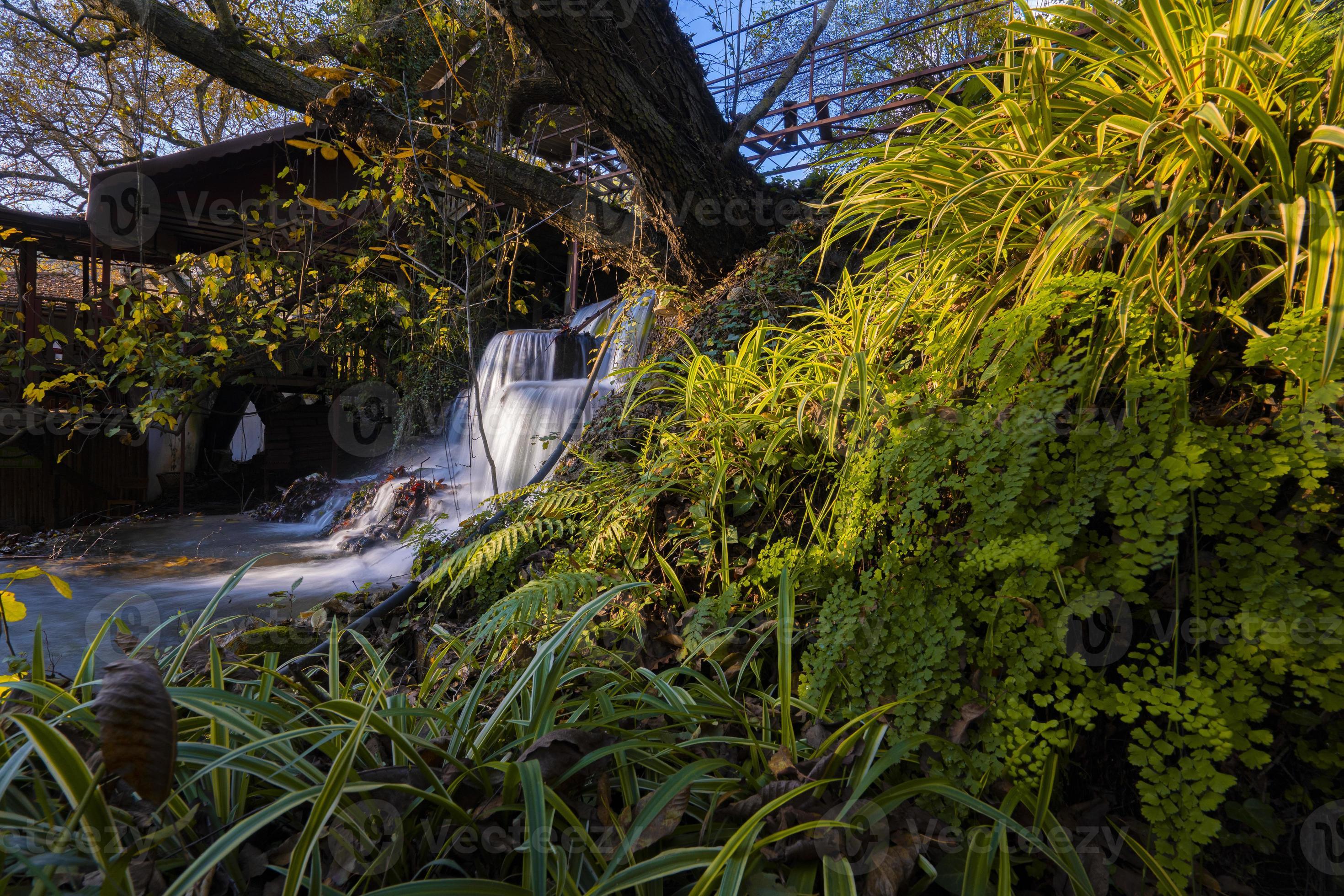 the last beauties of autumn before winter begins 16660207 Stock Photo