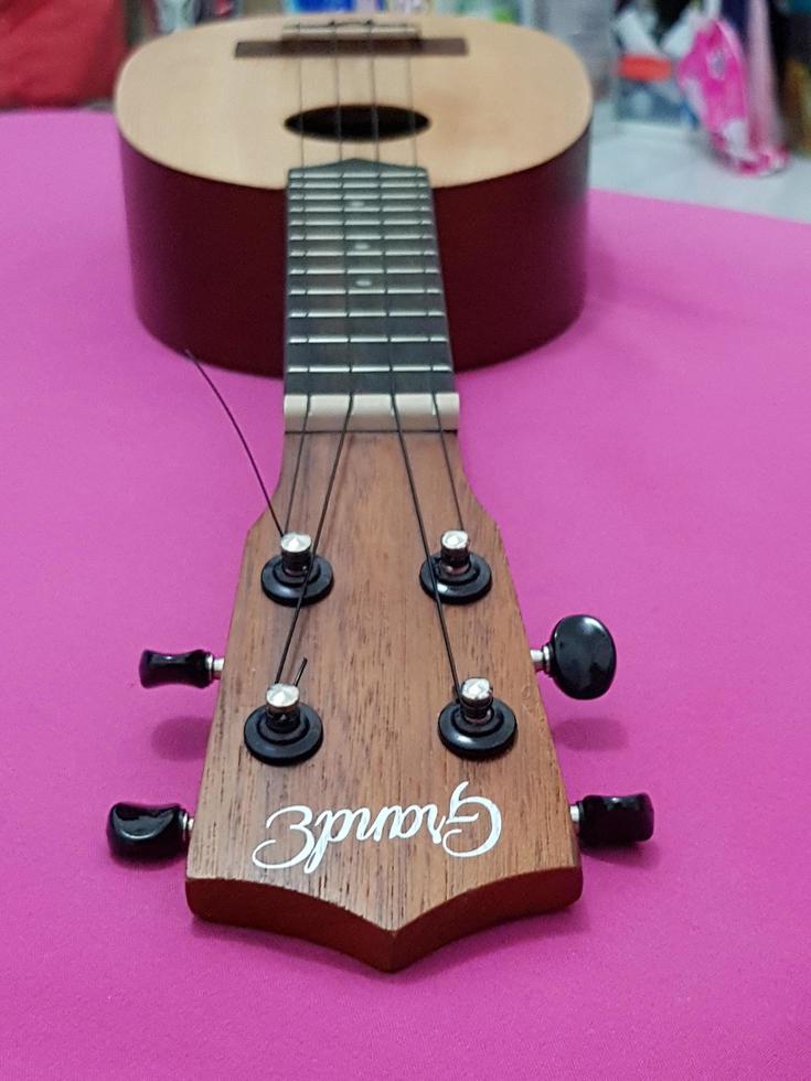 Jakarta, Indonesia in April 2022. This dark brown ukulele by the brand My Leho has good quality and a loud and melodious sound photo