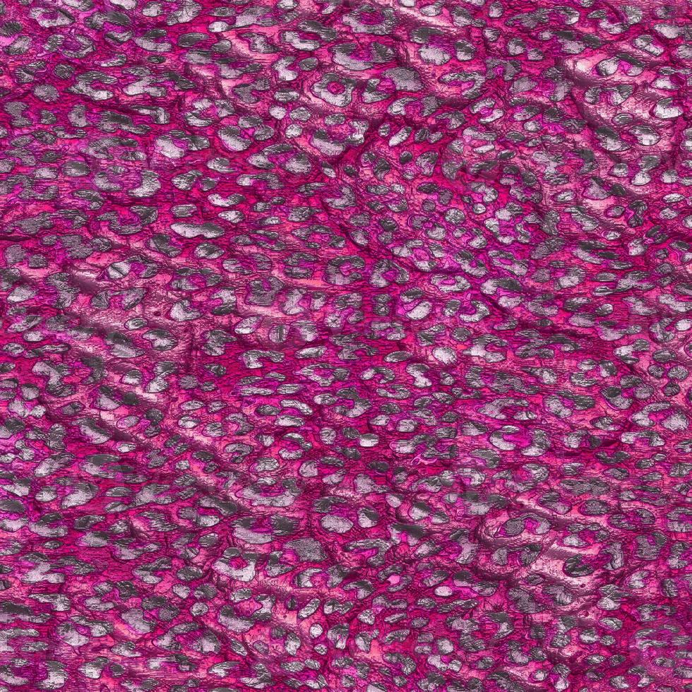 Abstract leopard design background,Colorful animal skin texture,Textile leopard design fabric photo