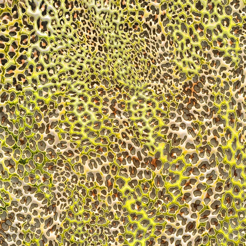 fondo de diseño de leopardo abstracto, textura de piel animal colorida, tela de diseño de leopardo textil foto