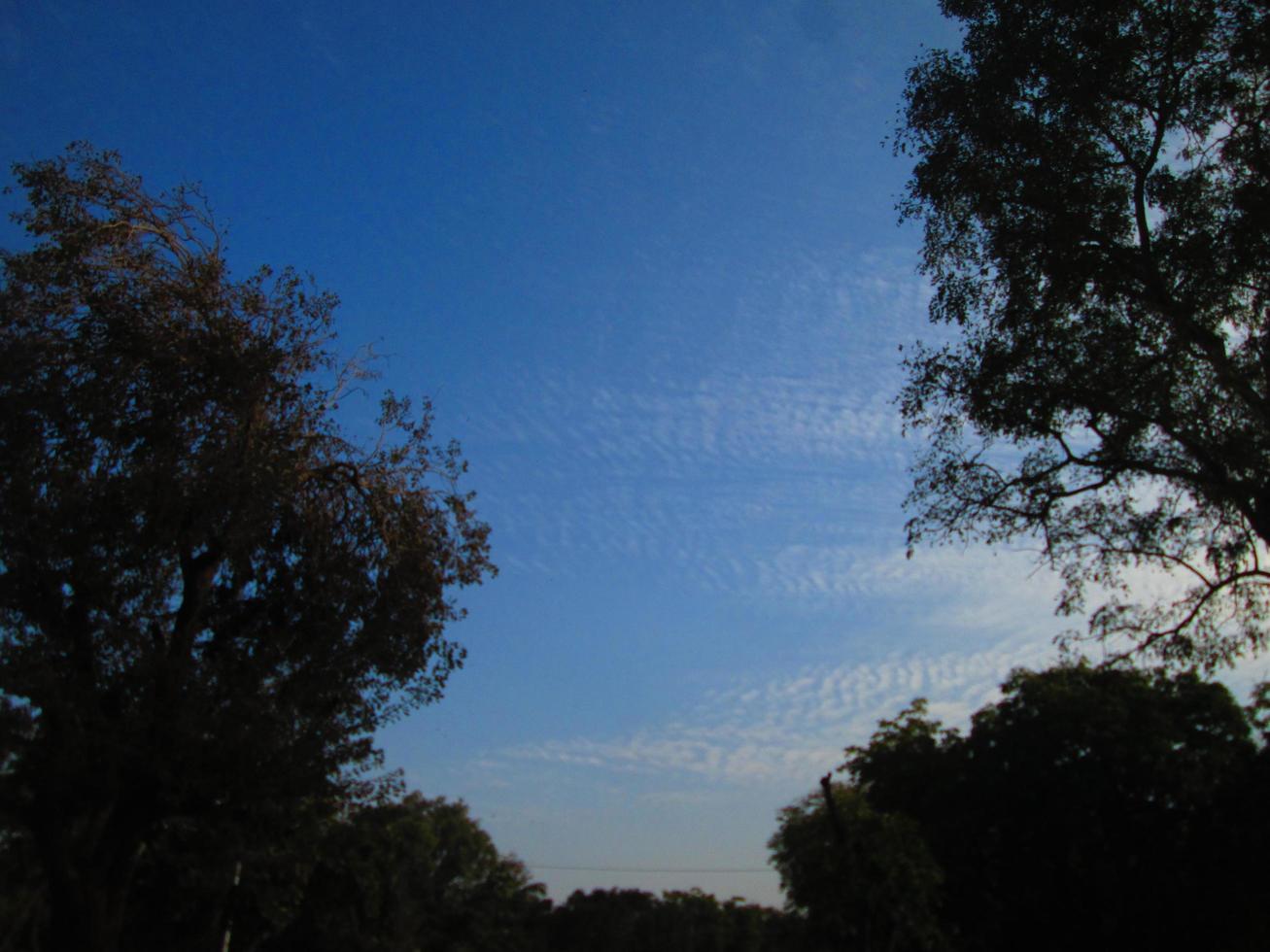 cielo azul y silueta de árboles durante el día en karachi pakistán 2022 foto