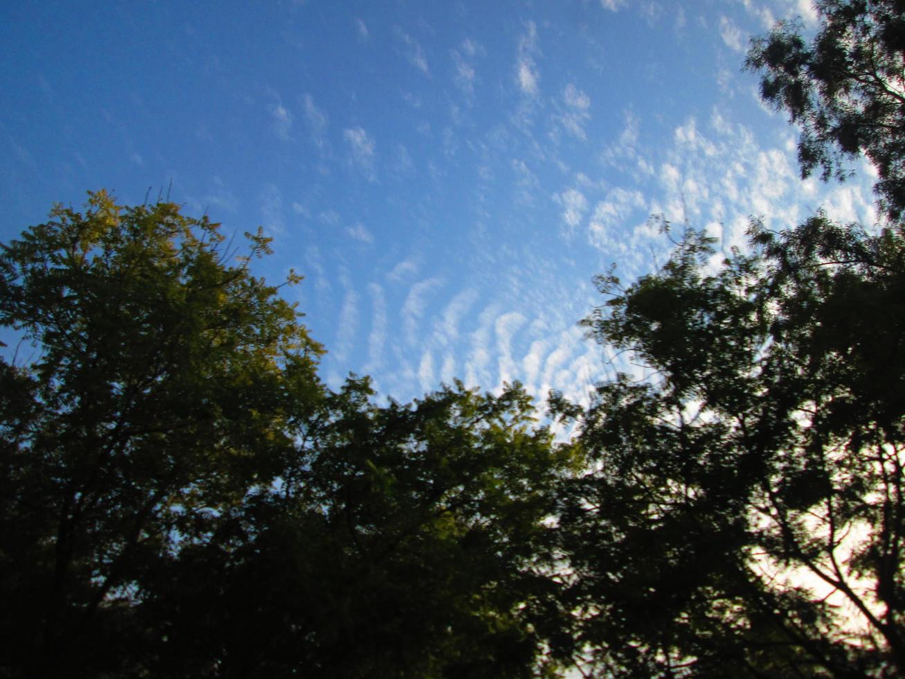 Blue Sky and Silhouette Of Trees During Day In Karachi Pakistan 2022 photo