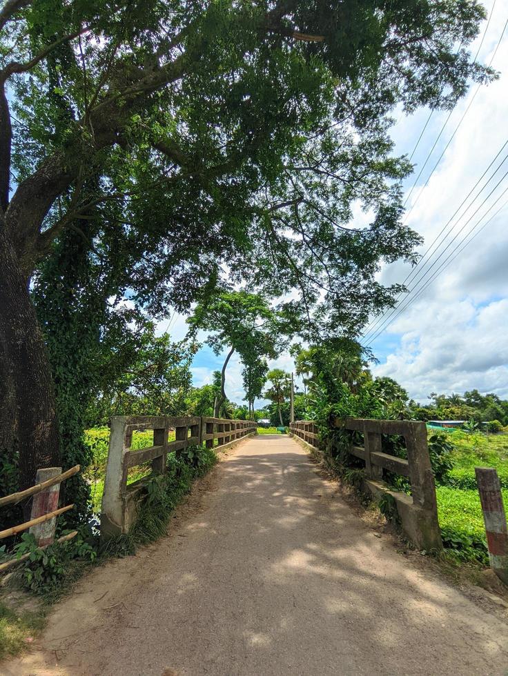 Natural beauty photo in rural area, Bangladesh.