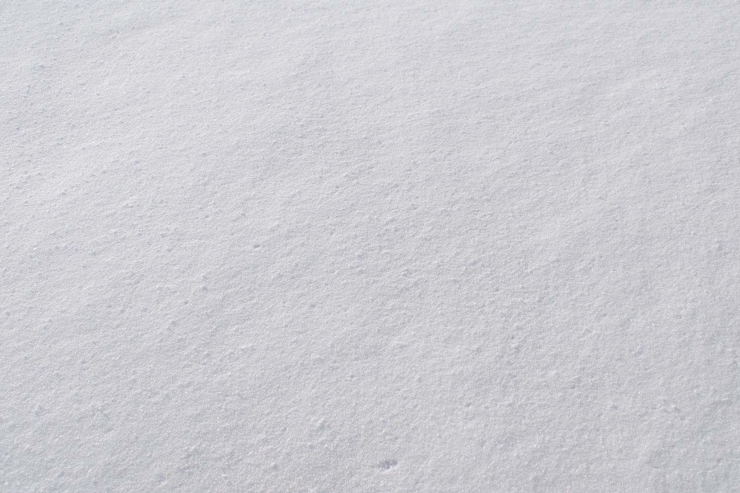 Plain Fresh Powder photo