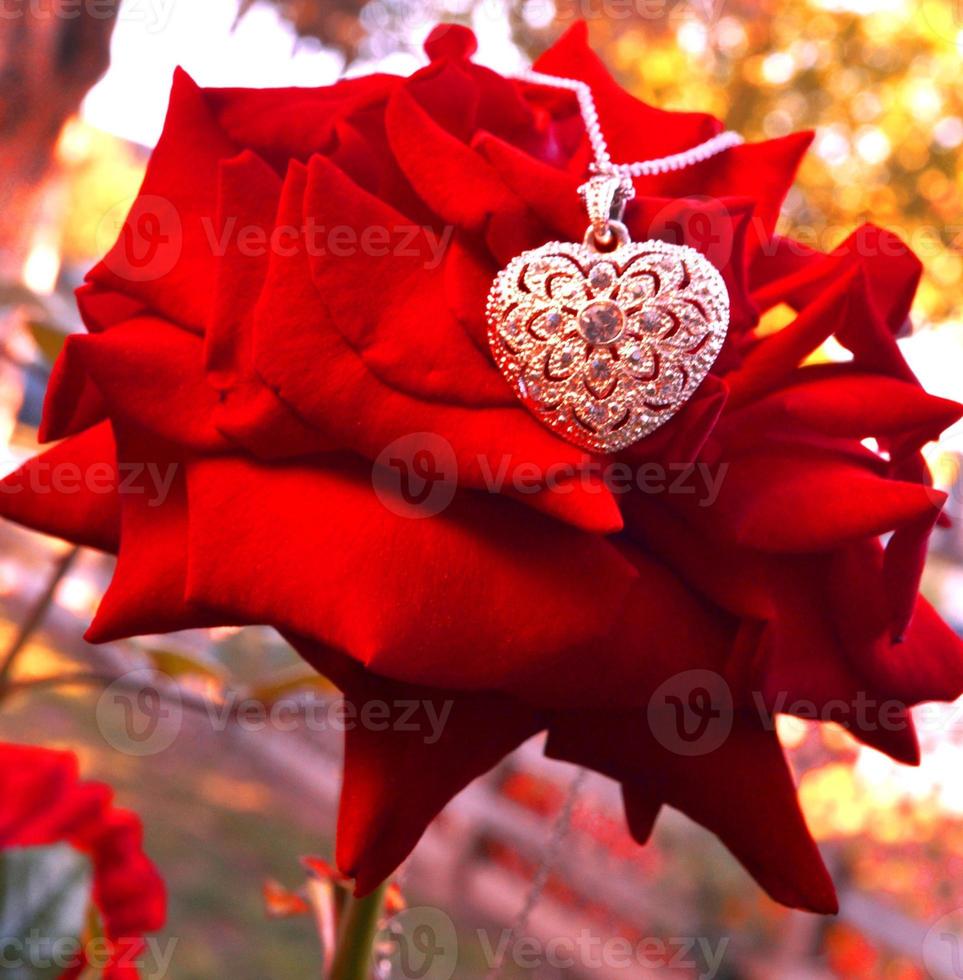 Vintage heart and necklace photo