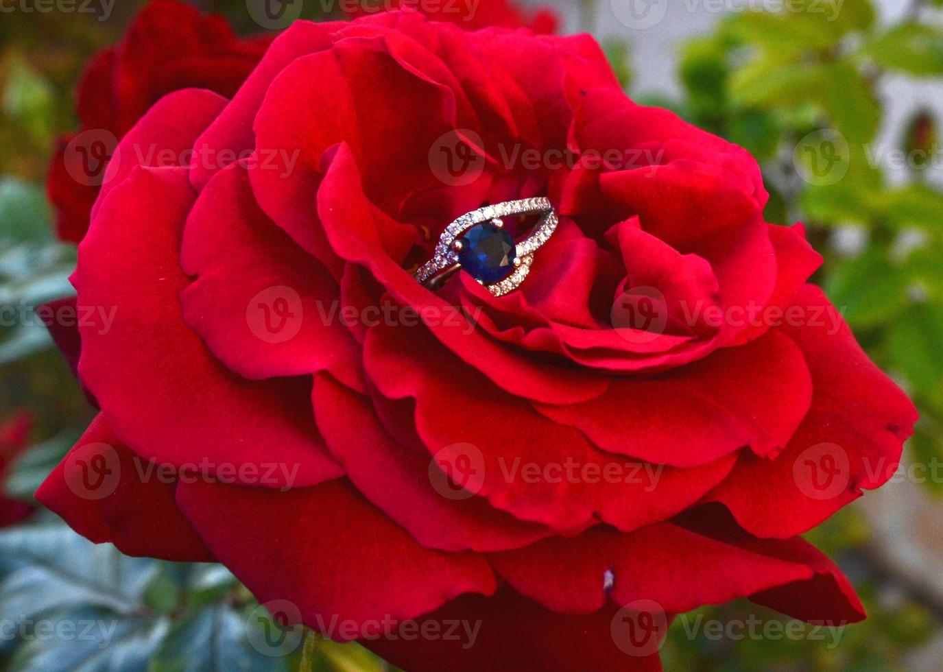 Sapphire Ring Fully Bloomed photo