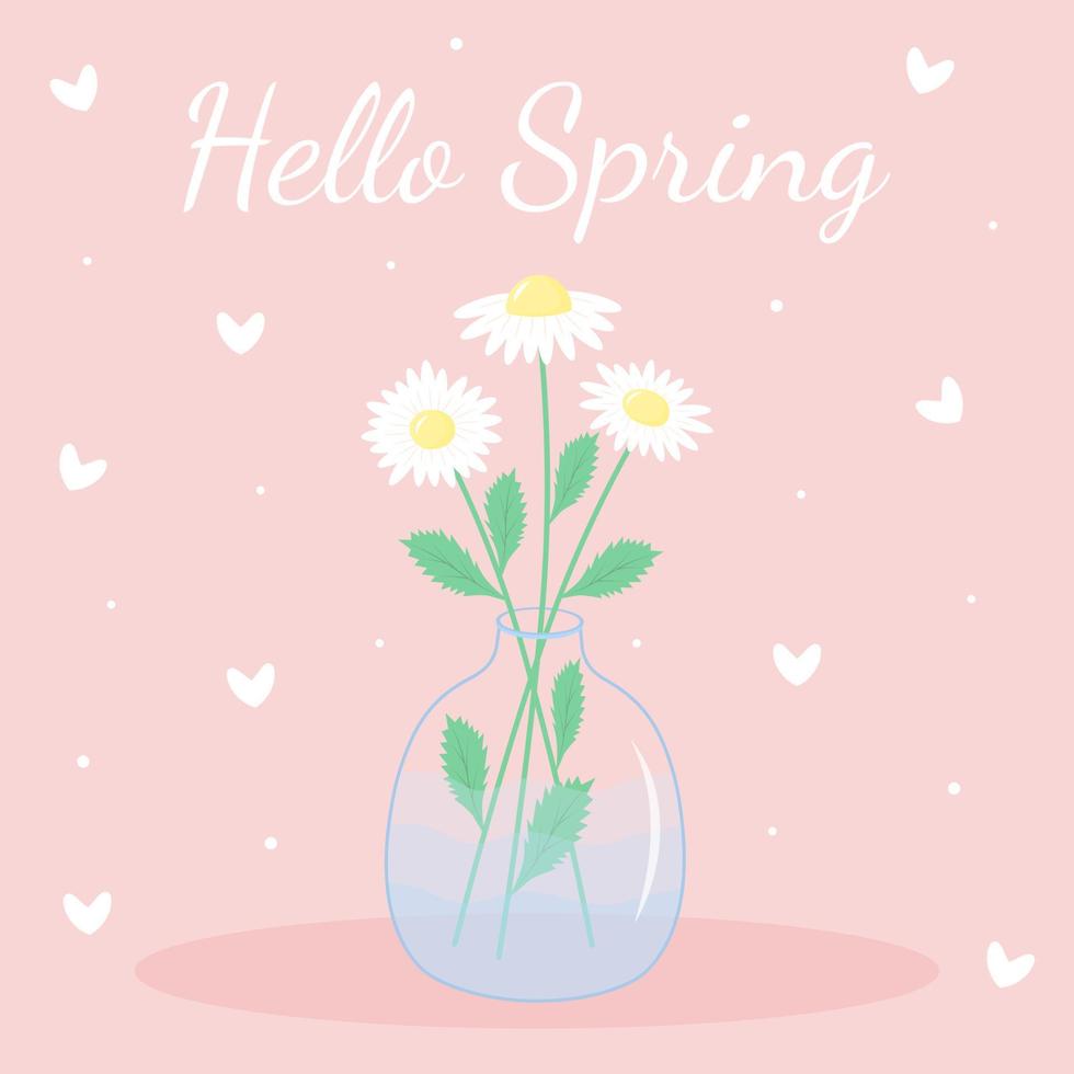 Daisies in the transparent vase. Hello spring lettering. Greeting card. vector