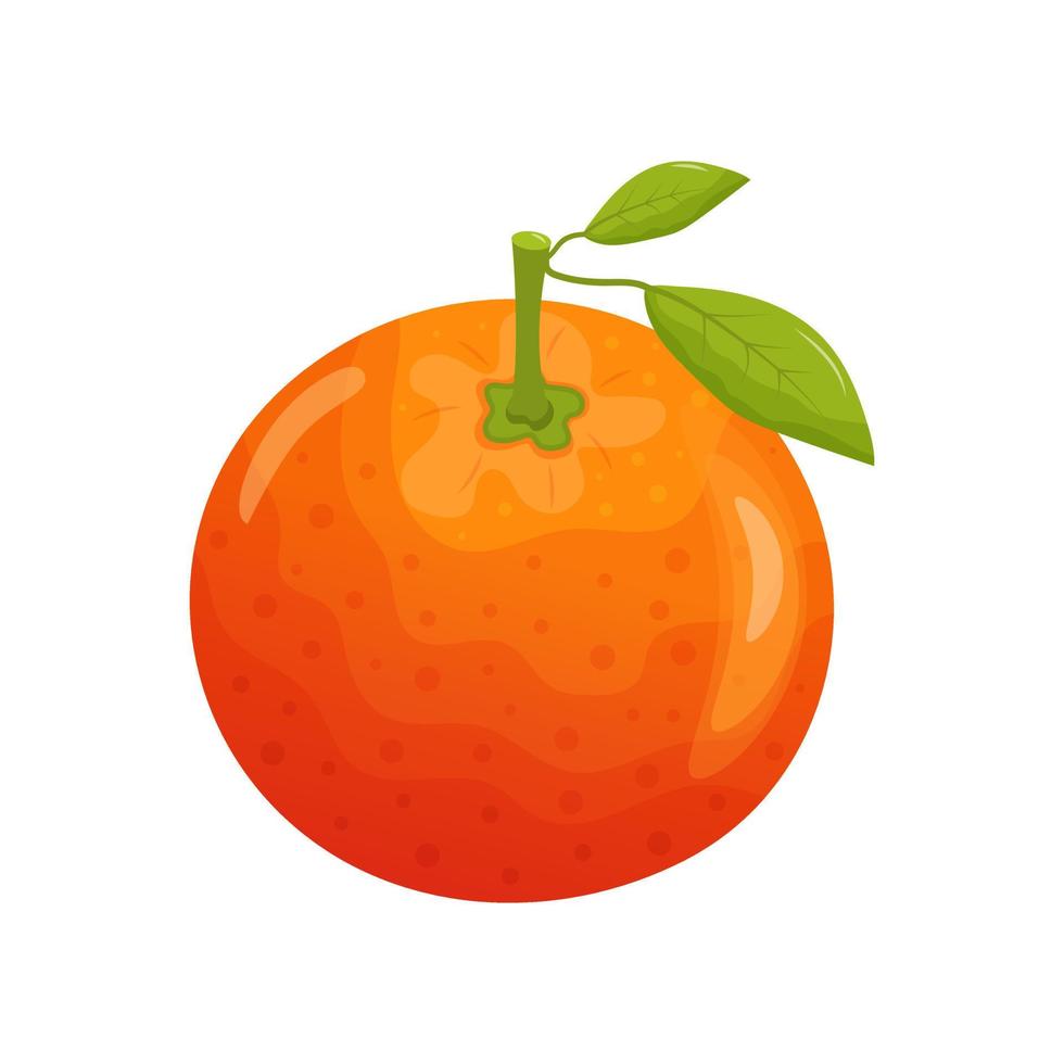 naranja con hojas. fruta jugosa aislado sobre fondo blanco. vector