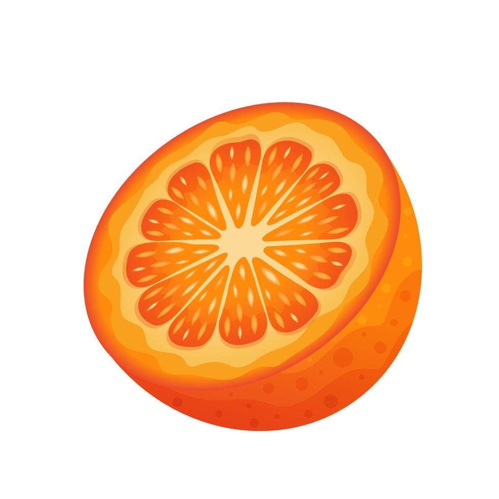 Half an orange. Juicy fruit isolated on white background. vector