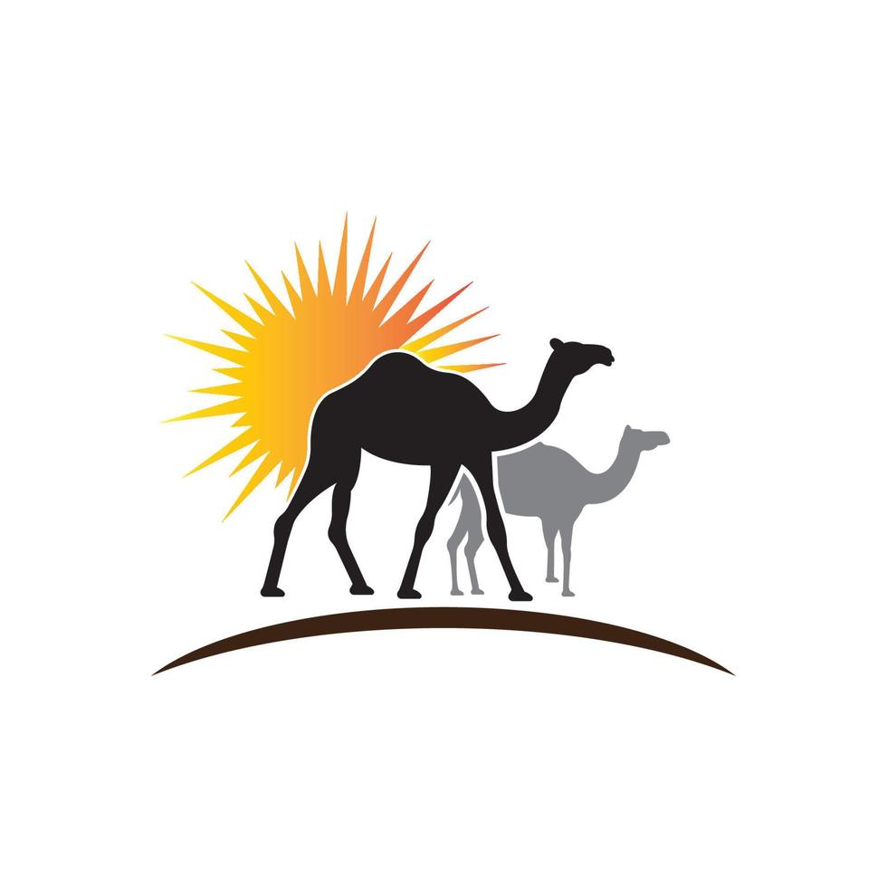 camel with sunset in the desert vector illustration design