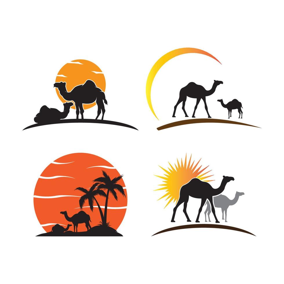 camello con puesta de sol en el desierto, diseño de ilustraciones vectoriales vector