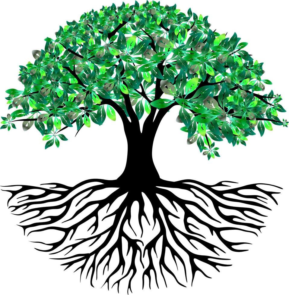 The illustrations and clipart. tree in the shape of a heart on white background vector