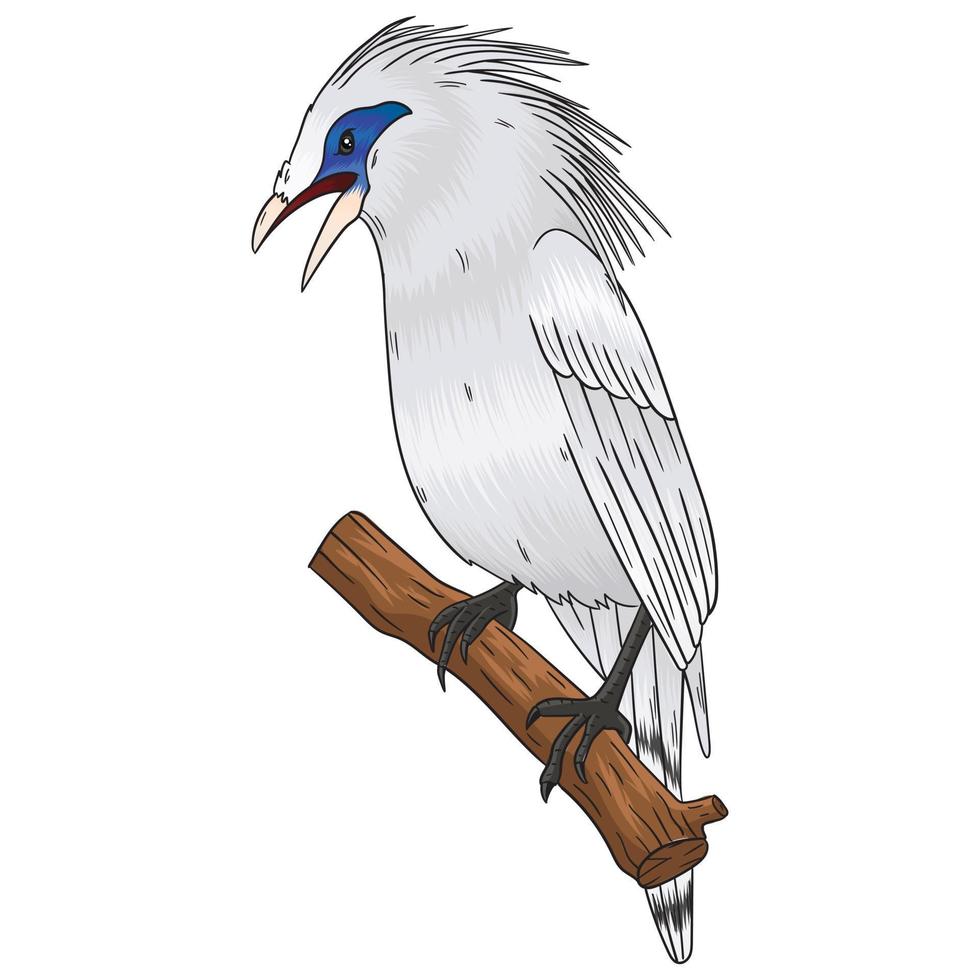 vector Bali starling in white with a combination of blue in the eyes