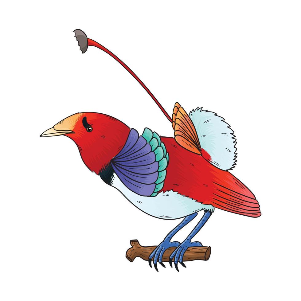 pájaro vectorial del rey del paraíso, este pájaro tiene un hermoso color de plumas vector