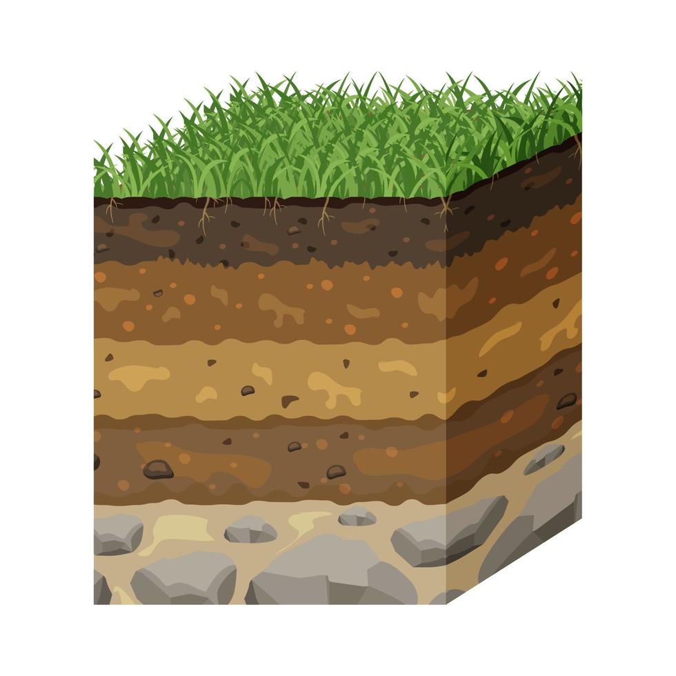 Soil in layers in section. Structure of the earth surface. Underground profile vector