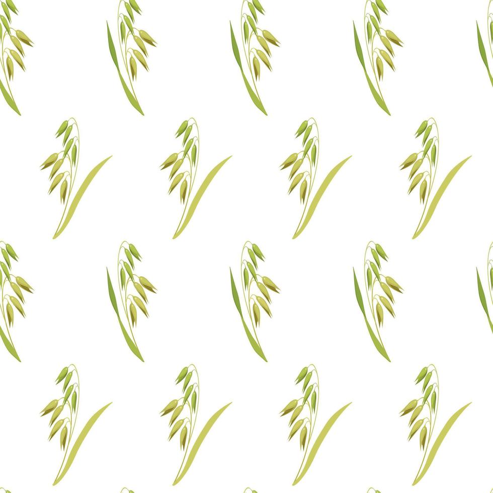 Botanical seamless background. Pattern of ears of oats on white background. Texture from cereal plants for design of kitchen tablecloths, baking packaging. vector