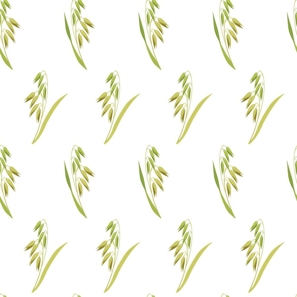 Botanical seamless background. Pattern of ears of oats on white background. Texture from cereal plants for design of kitchen tablecloths, baking packaging. vector