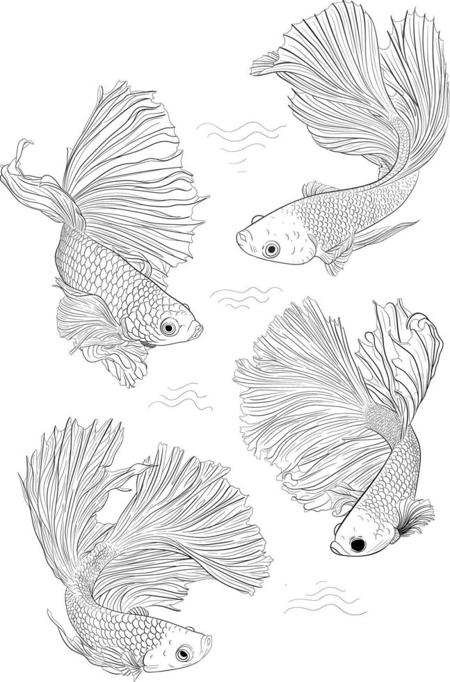 Illustration Hand Drawn Betta Fish vector