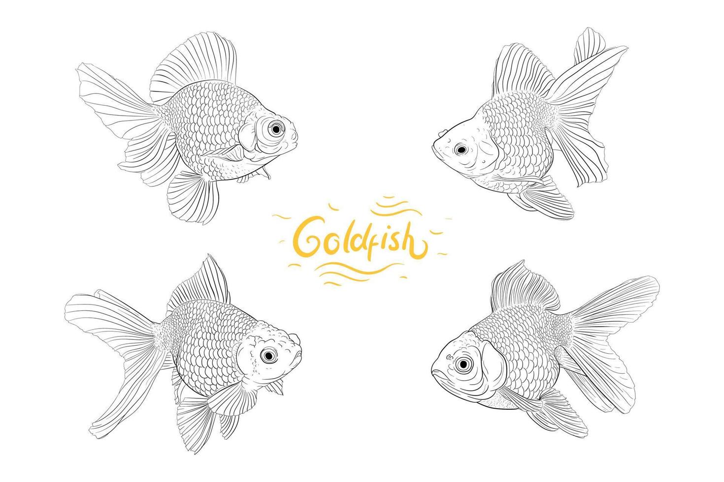 Set of Goldfish Hand Drawing Illustration vector