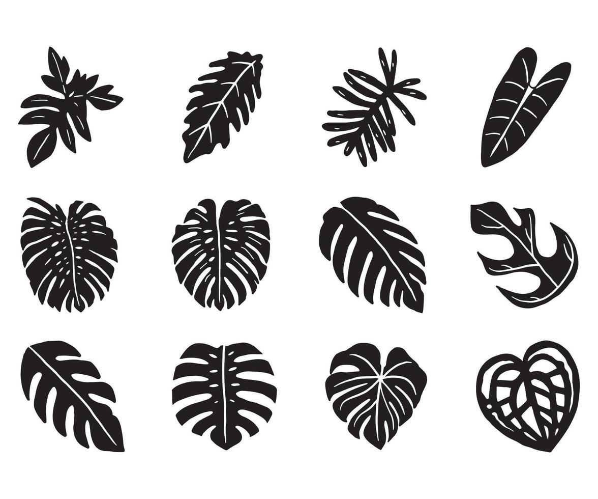 Tropical plant leaf doodle icon vector