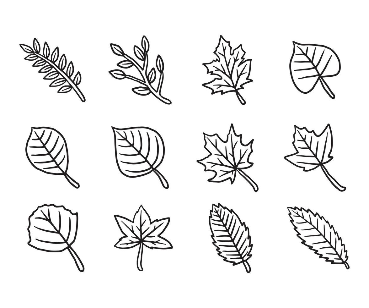 Dry autumn fall leaf doodle icon vector