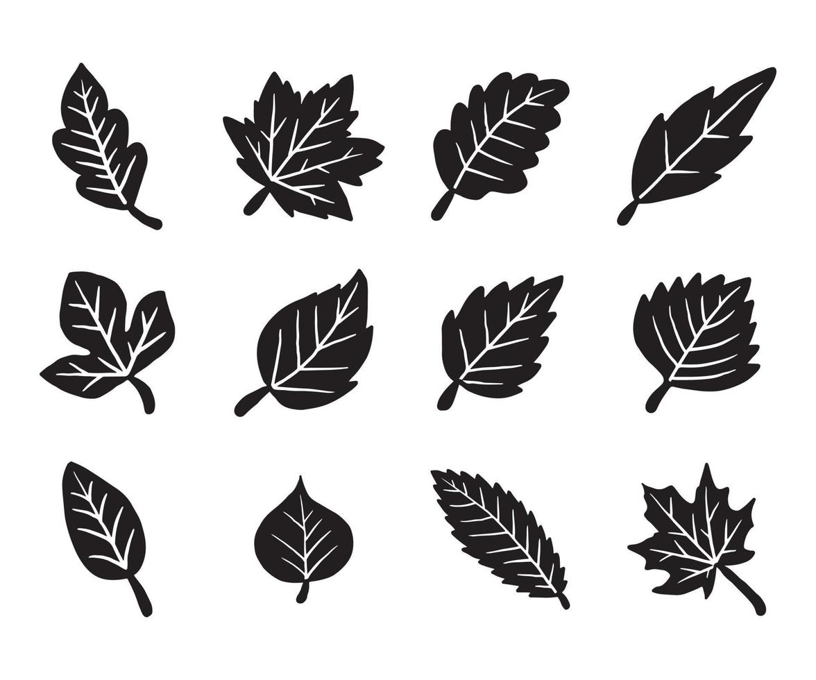 Dry autumn fall leaf doodle icon vector
