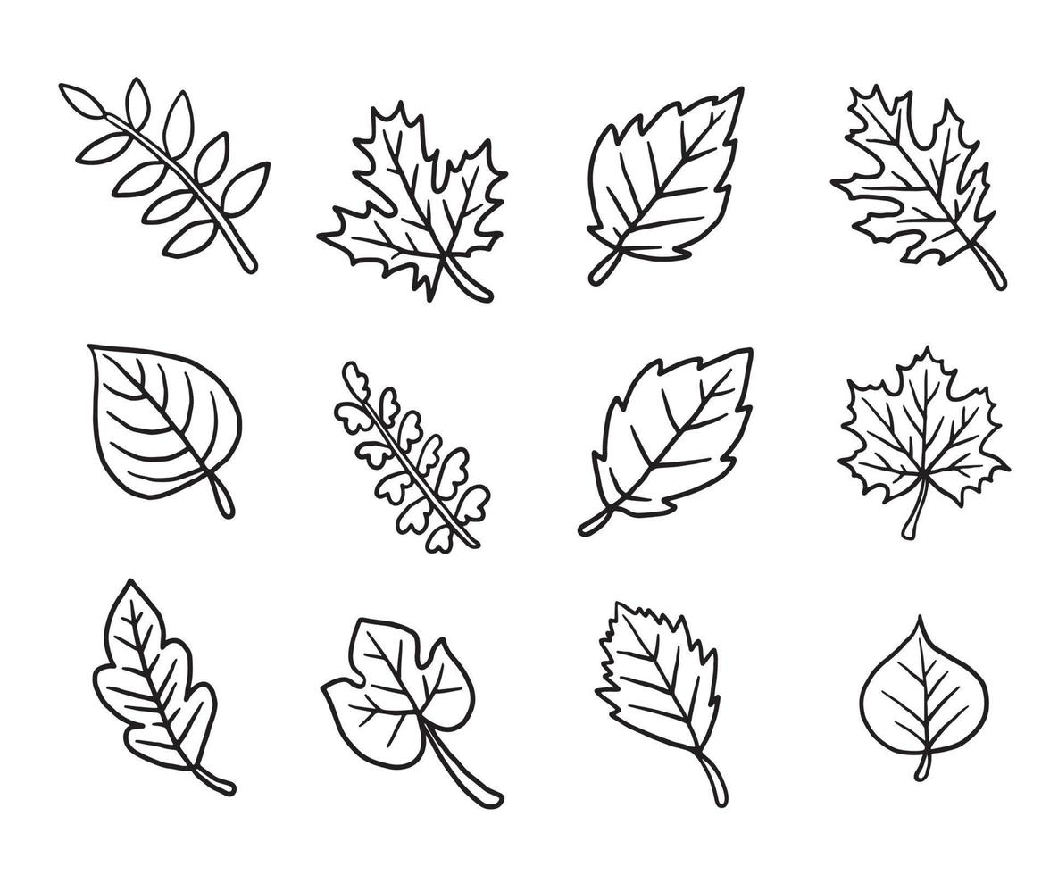 Dry autumn fall leaf doodle icon vector