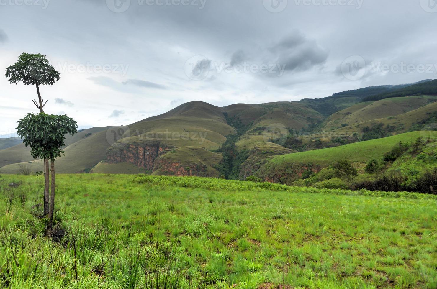 Driving South Africa photo