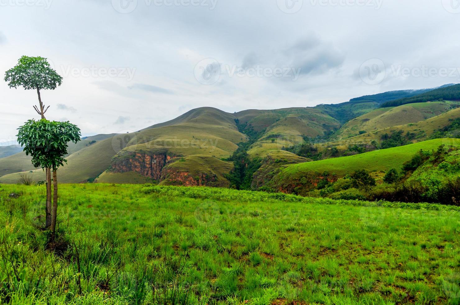 Driving South Africa photo