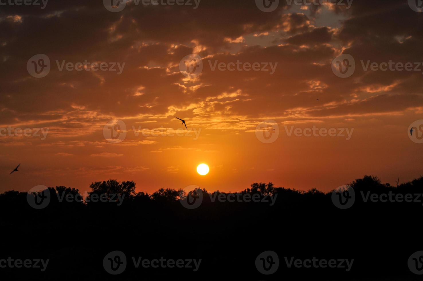 Sunrise at Kruger National Park photo