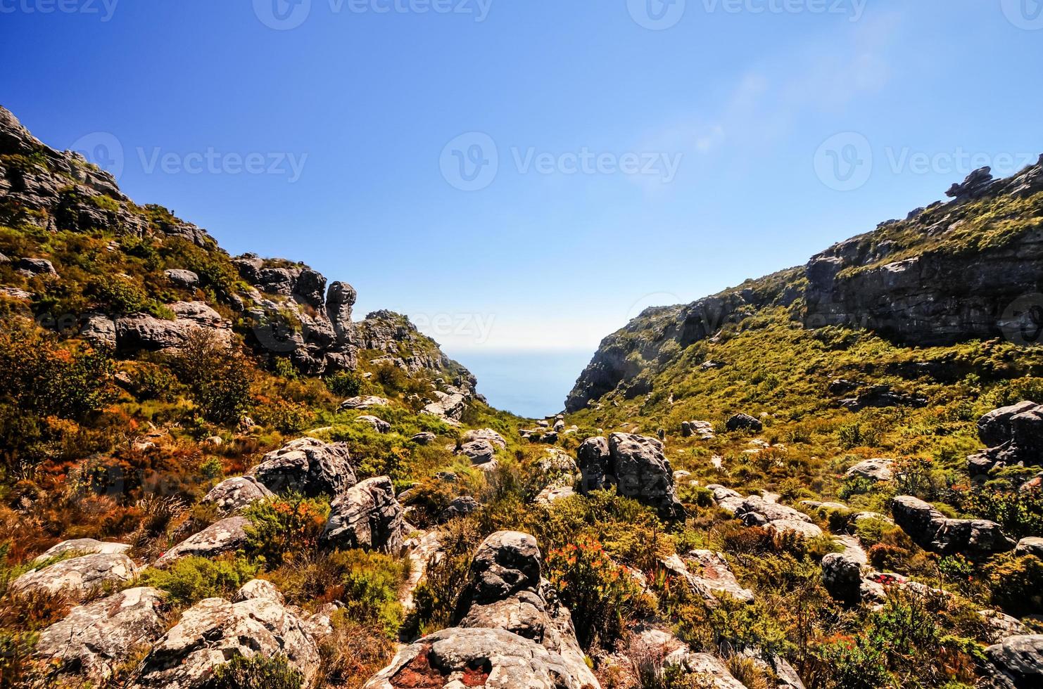 Table Mountain in Cape Town photo