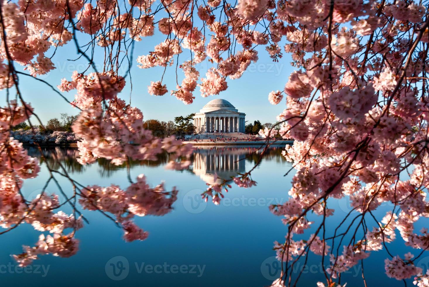 memorial de jefferson - washington dc foto