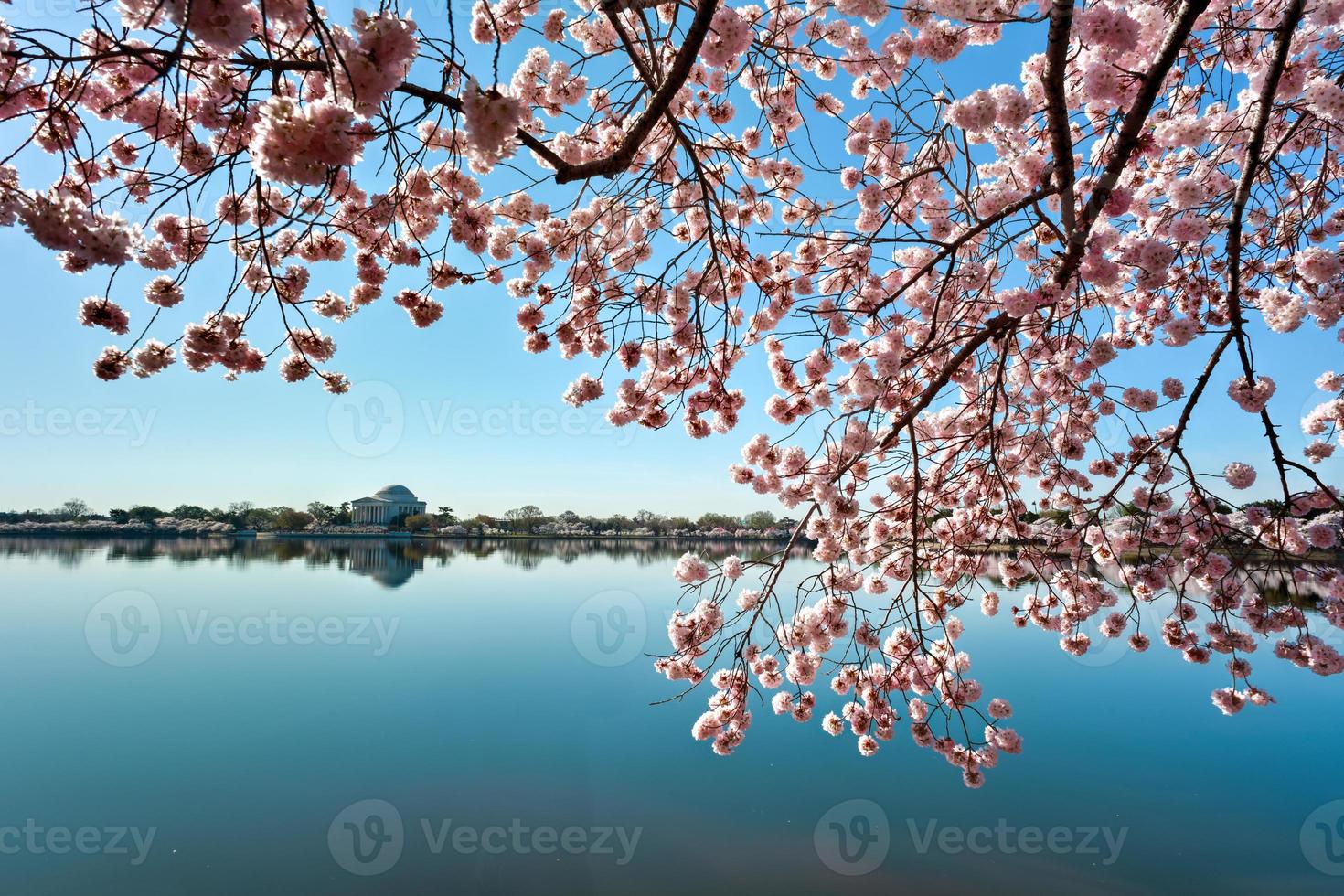 Jefferson Memorial - Washington D.C. photo