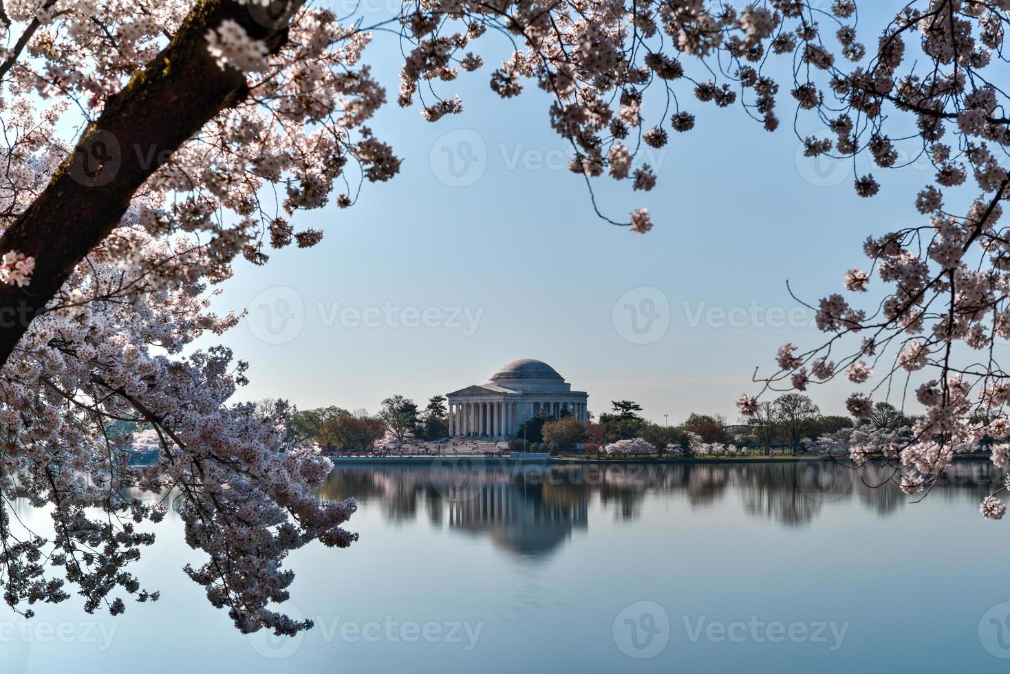 Jefferson Memorial - Washington D.C. photo