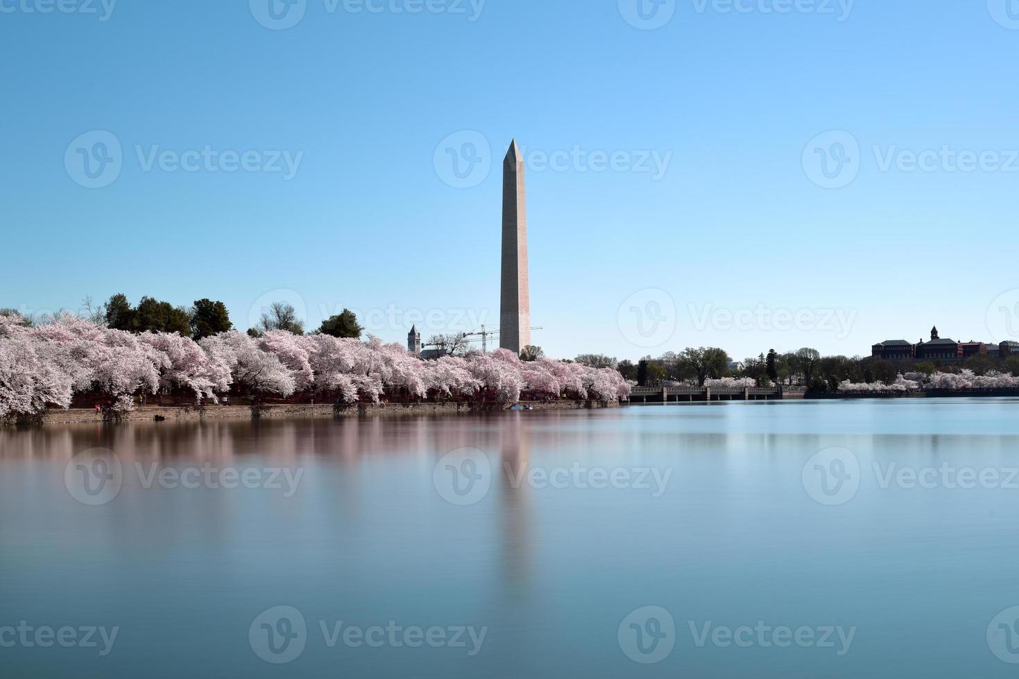 Monumento a Washington en Washington DC, EE. foto