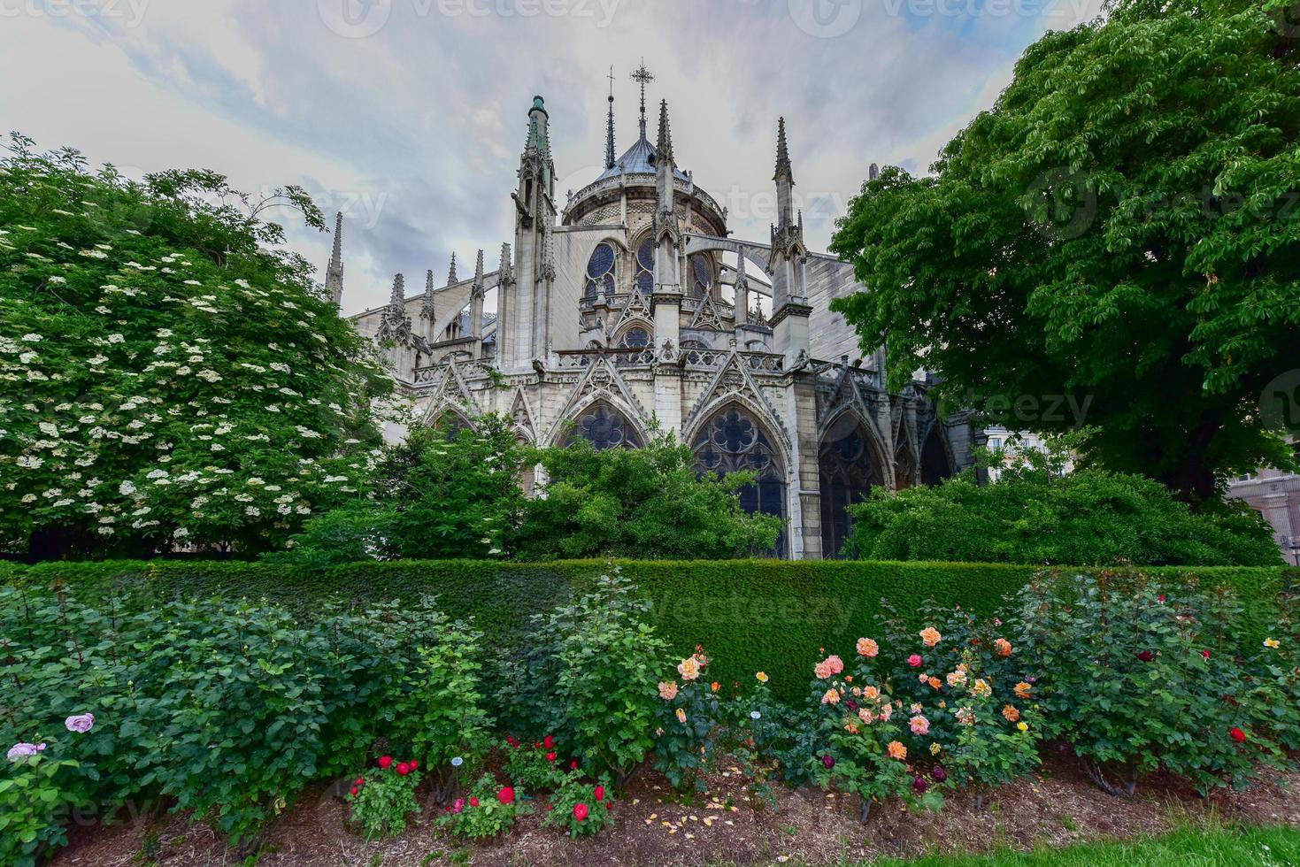 Notre-Dame de Paris is a French Gothic medieval Catholic cathedral on the Ile de la Cite in the fourth arrondissement of Paris, France. photo